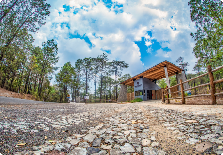 INGRESO MONTE LOS FRAILES